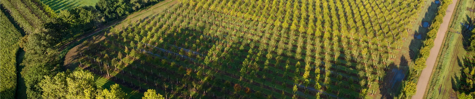 Header alle Seiten.jpg