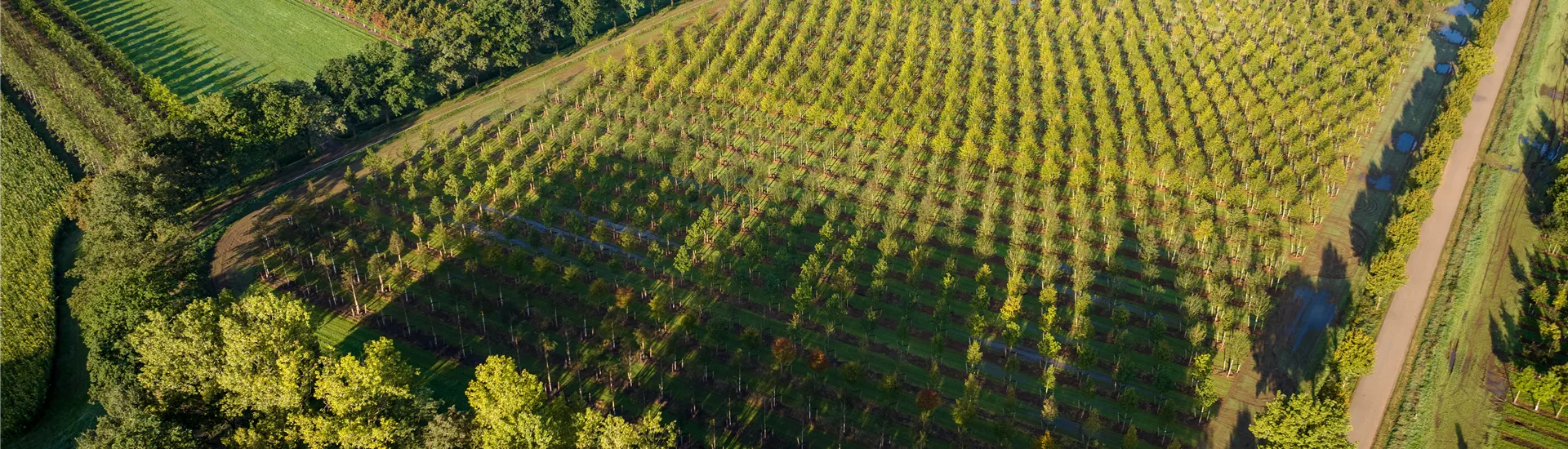 Header alle Seiten.jpg