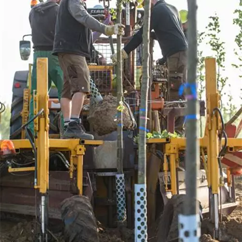 Journeyman gardeners and foremen / technicians (f/m/d)