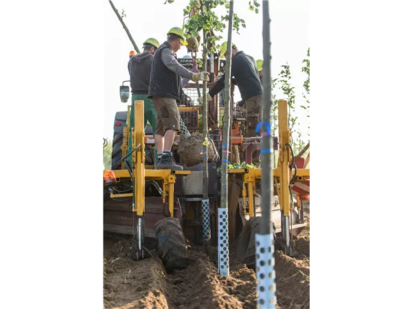 Journeyman gardeners and foremen / technicians (f/m/d)