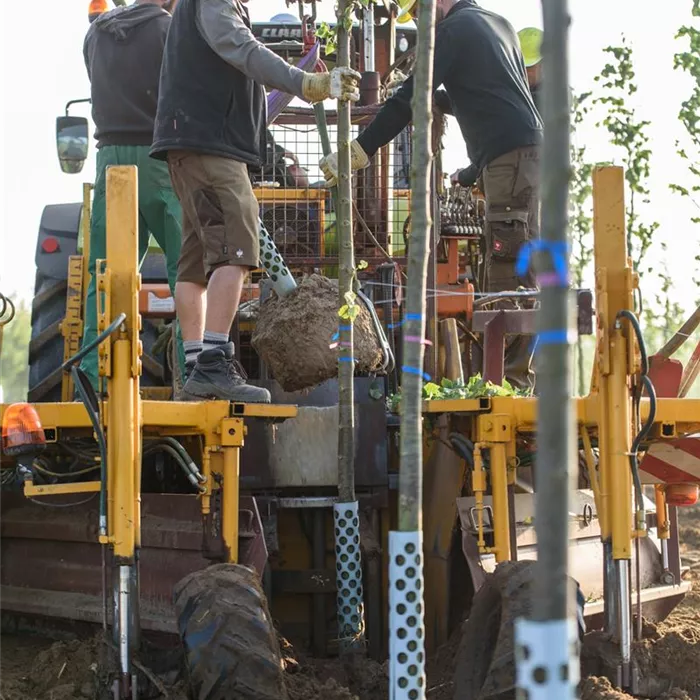 Journeyman gardeners and foremen / technicians (f/m/d) Journeyman gardeners and foremen / technicians (f/m/d)