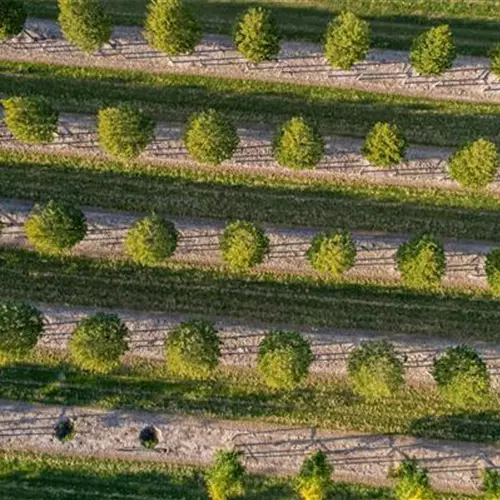 Sales talent for Germany (f/m/d)