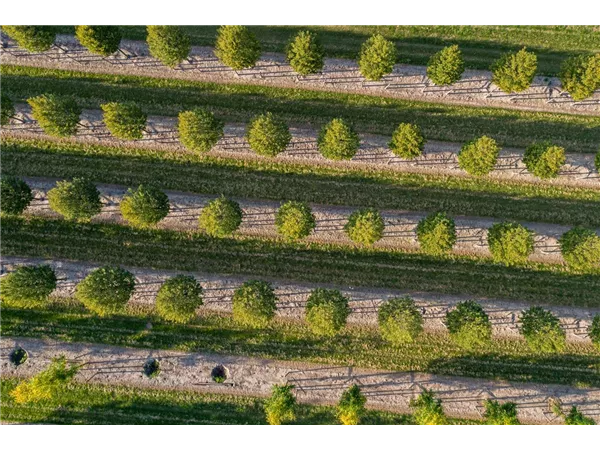 Sales talent for Germany (f/m/d)