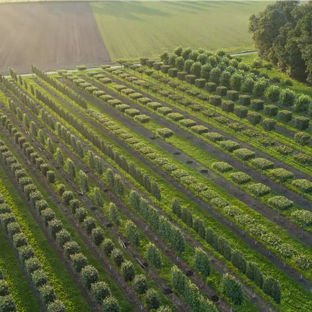 Verkäufer Osteuropa/Asien (w/m/d)