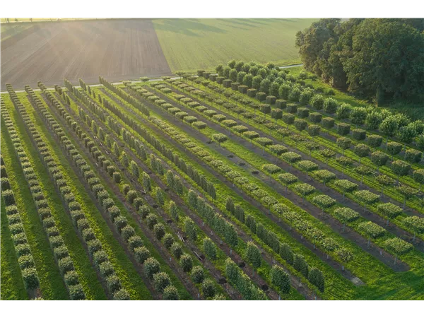 Verkäufer Osteuropa/Asien (m/w/d)