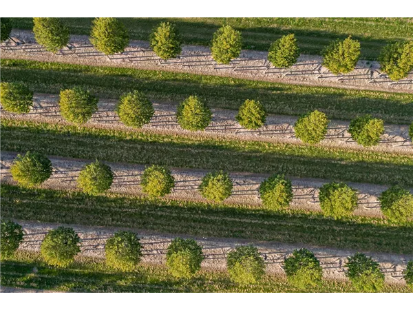 Verkaufstalent für Deutschland (w/m/d)