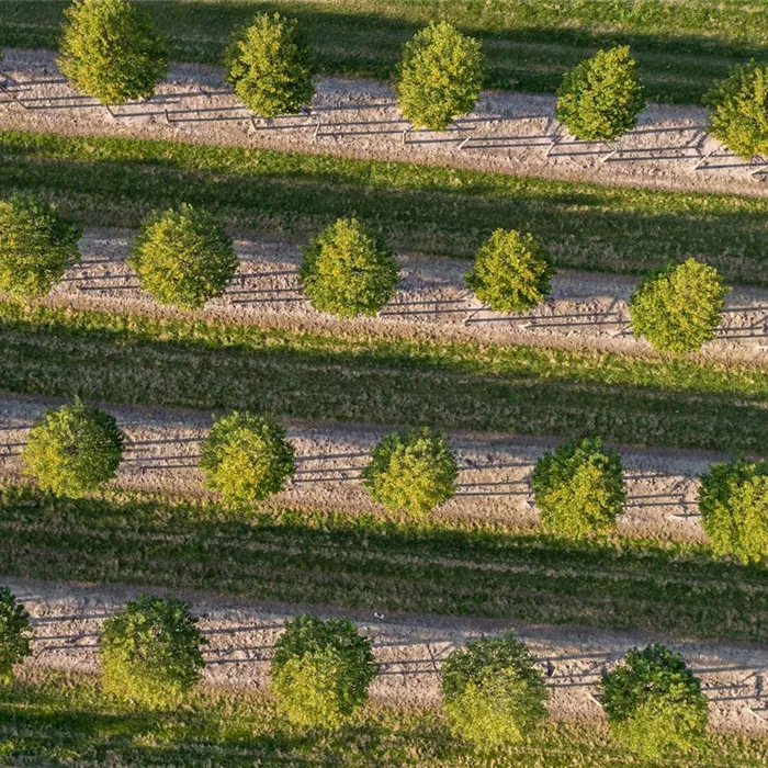 Verkaufstalent für Deutschland (w/m/d) Verkaufstalent für Deutschland (w/m/d)