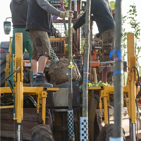 Gärtnergesellen und Meister / Techniker (w/m/d)