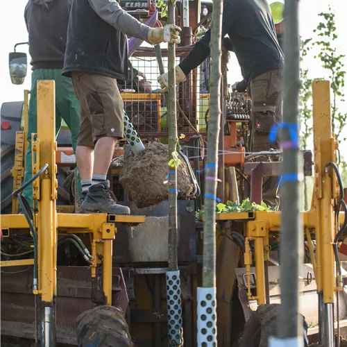 Gärtnergesellen und Meister / Techniker (w/m/d)