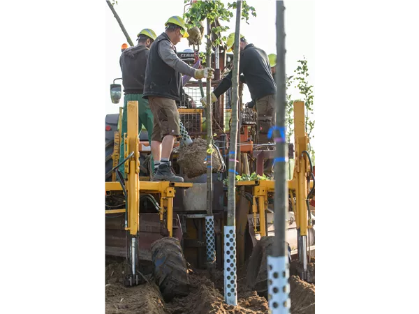 Gärtnergesellen und Meister / Techniker (w/m/d)