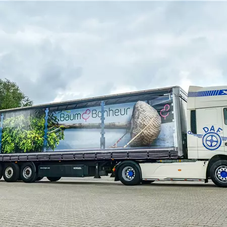 Auszubildende (w/m/d) für Groß- und Außenhandelsmanagement