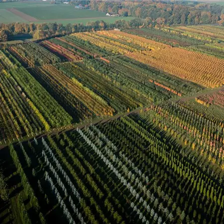 Verkaufstalent für Deutschland (w/m/d)