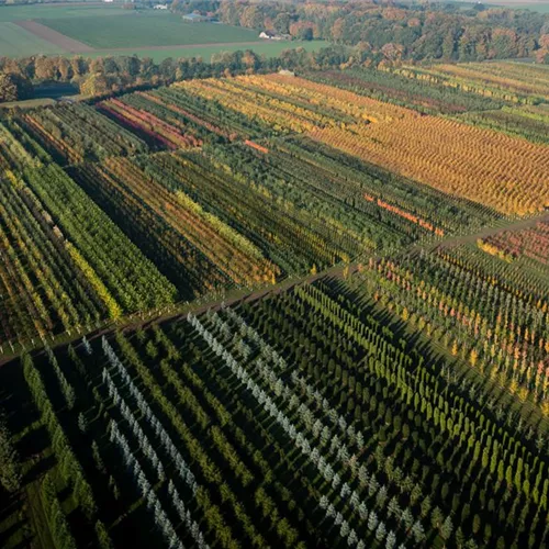 Verkaufstalent für Deutschland (w/m/d)