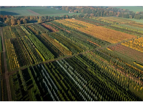 Verkaufstalent für Deutschland (w/m/d)