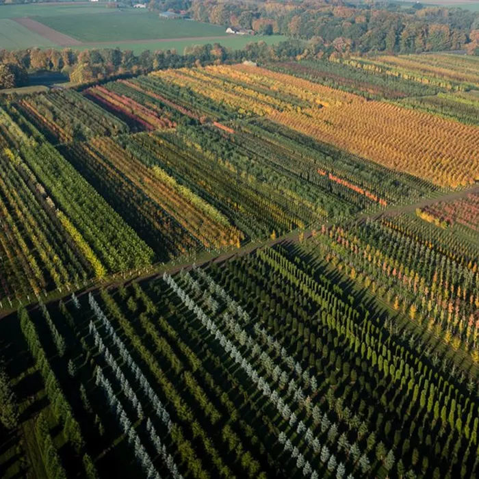 Sales talent for Germany (m/f/d)