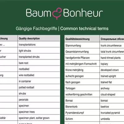 Fachbegriffe DE - ENG