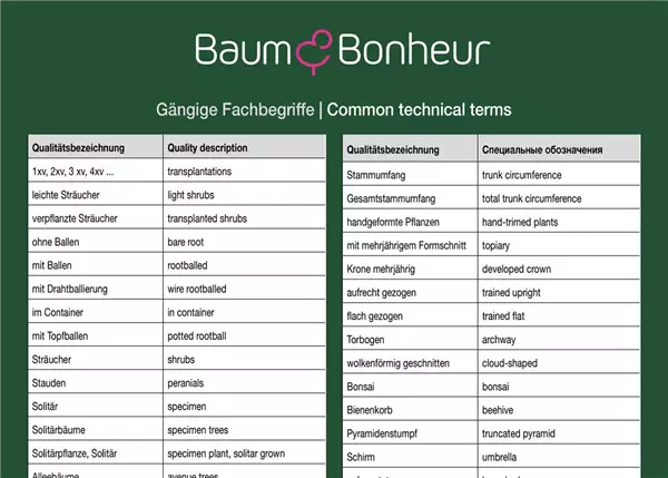 Gängige Fachbegriffe DE - ENG