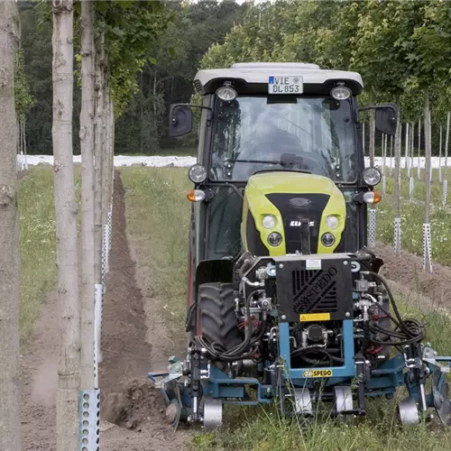 Apprentis jardiniers et maîtres artisans / techniciens (h/f/d)