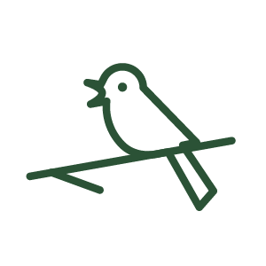 Für Vögel attraktiv