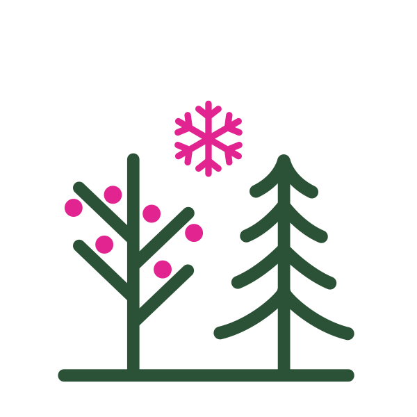Attraktiv im Winter